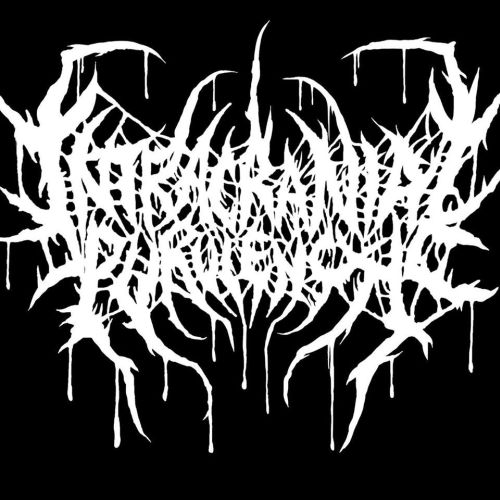 Ip logo