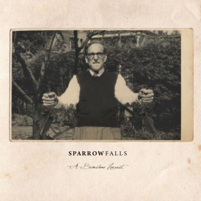 Sparrow falls