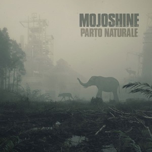 Tb cover pieno mezzo vuoto exe scaled 1 1600x1600